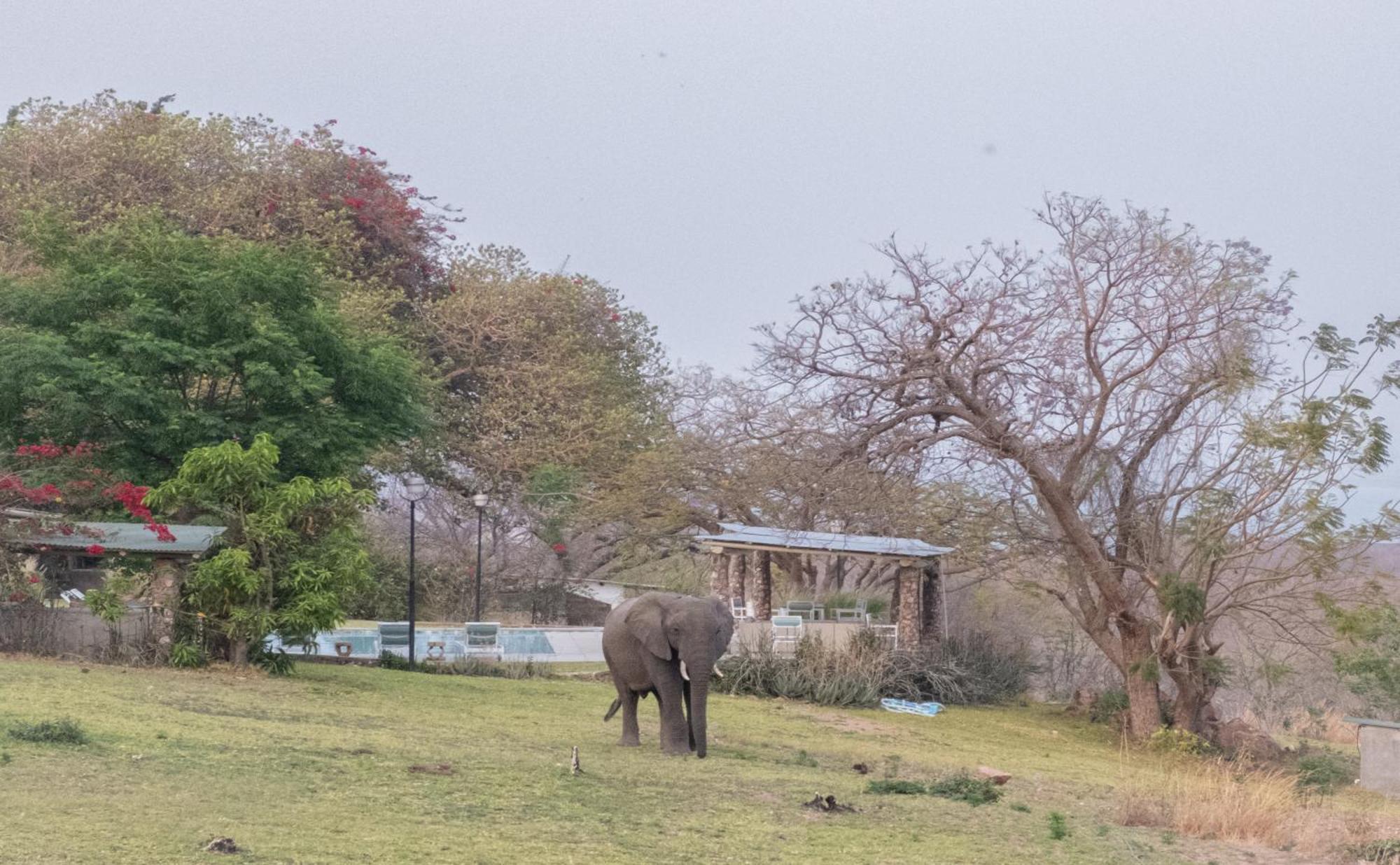 Musungwa Safari Lodge Shanjungu Buitenkant foto